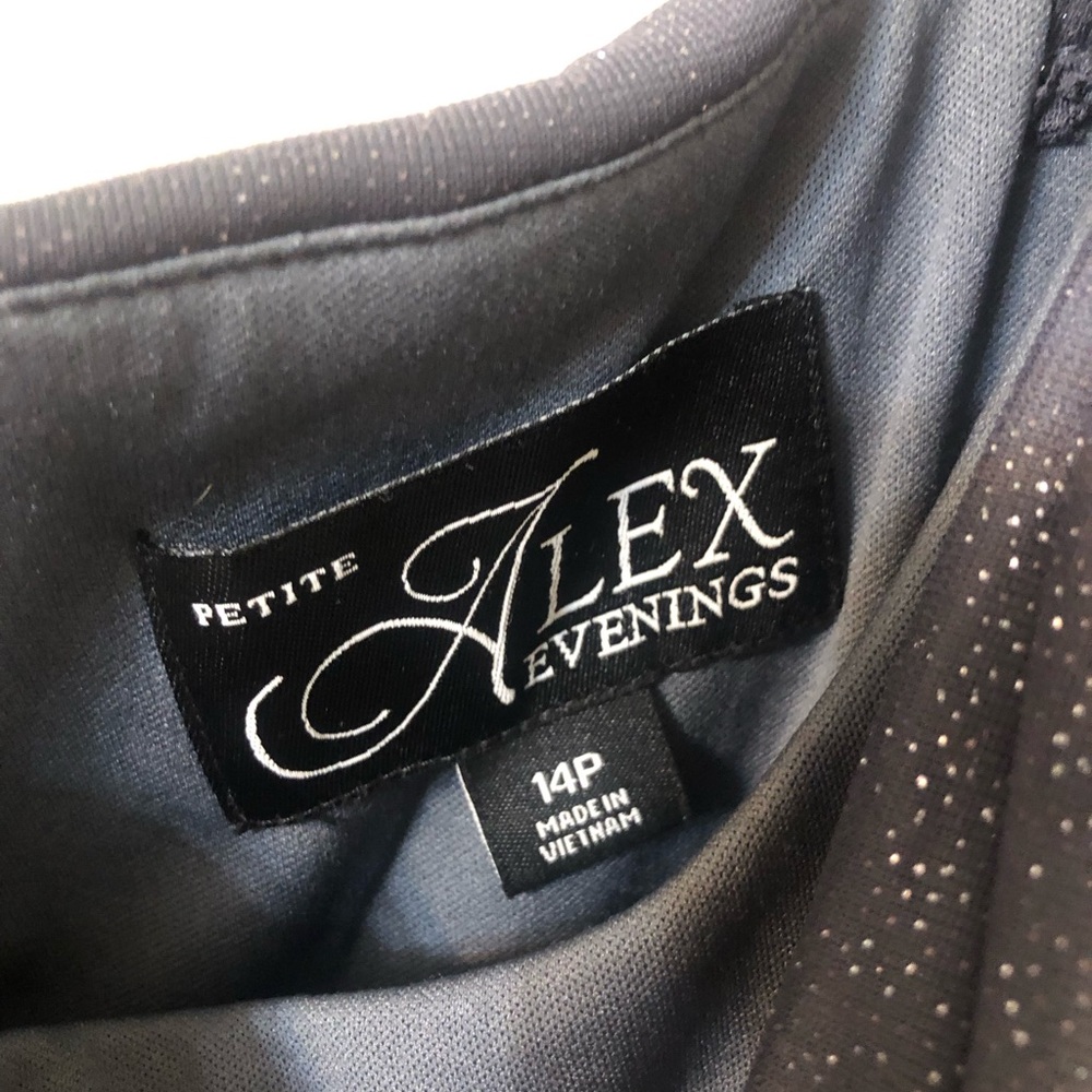 Alex Evenings Navy Sparkly Dress